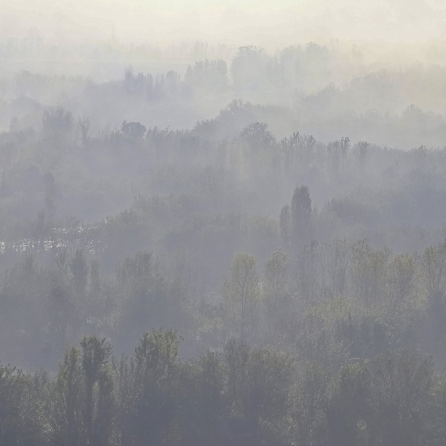 Dicle Vadisi'nde sis manzaraları