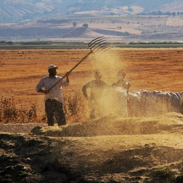 Tarım-GFE yıllık yüzde 34,60 arttı