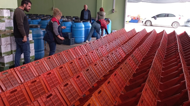 Didim'de organik zeytin ve zeytinyağı üretim alanları denetlendi