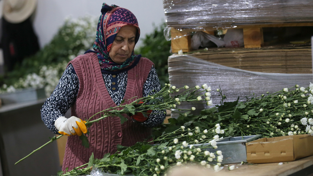 Çiçek ihracatında çeşitlilik arttı