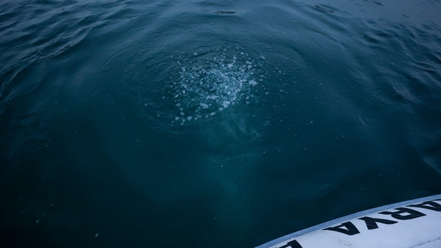 Sapanca Gölü'ndeki kabarcıkların verdiği endişe artıyor: "Herkes korkuyor, rahat uyuyamıyoruz"
"Depremden önce bu tür olayların başka yerlerde olduğunu gördüğümüz için tedirginiz"