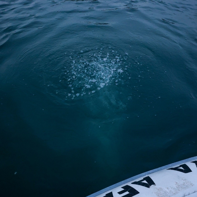 Sapanca Gölü'ndeki kabarcıkların verdiği endişe artıyor: "Herkes korkuyor,...