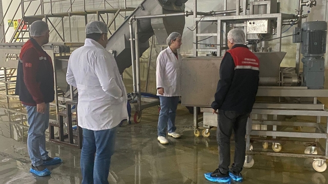 Hayvansal yem üreten işletmeye yönelik denetim