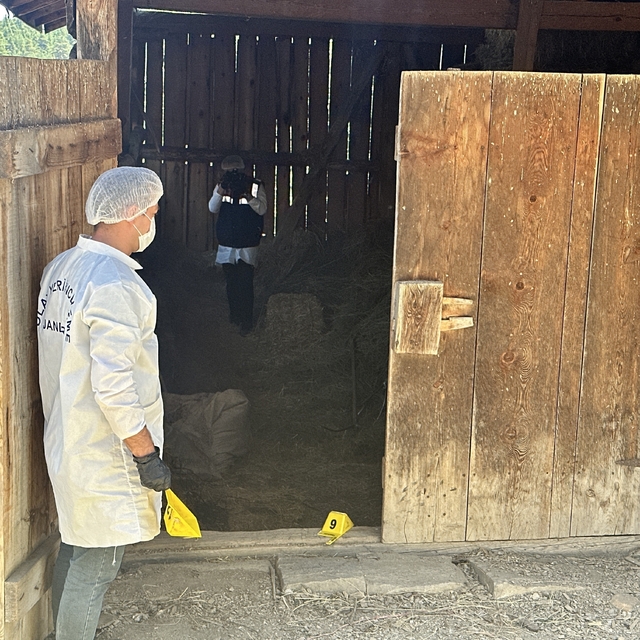 Samanlıkta işlenen cinayetle ilgili yargılama devam etti