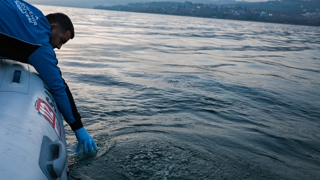 Sapanca Gölü'ndeki kabarcıkların sebebi belli oldu: Yeraltından doğal hava çıkışı
Sapanca Gölü'ndeki kabarcıklar ile ilgili SASKİ'den açıklama
"Suyun kalitesinde herhangi bir olumsuzluğa rastlanmadı"