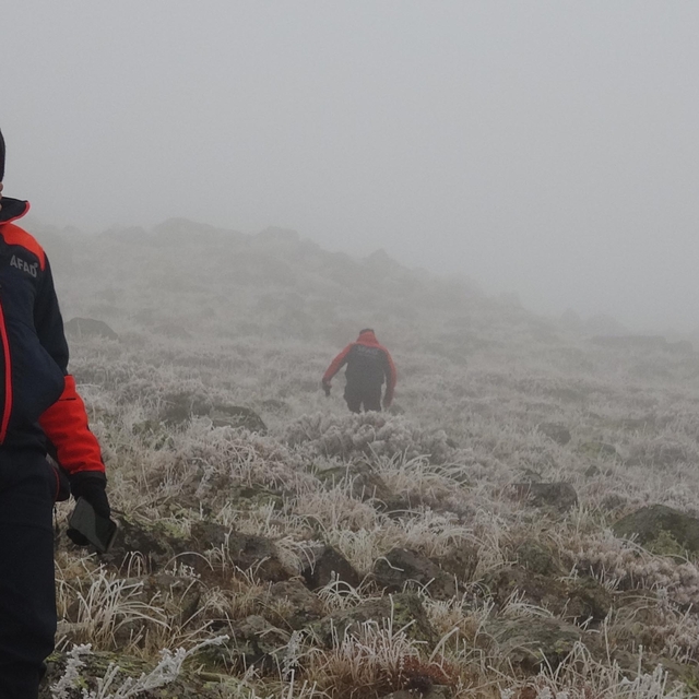 Yoğun sisin etkili olduğu Erzurum'da çoban koyun sürüsüyle kayboldu (2)