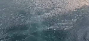 Sapanca Gölü'ndeki kabarcıklar endişeye yol açtı; uzmanı nedenini açıkladı