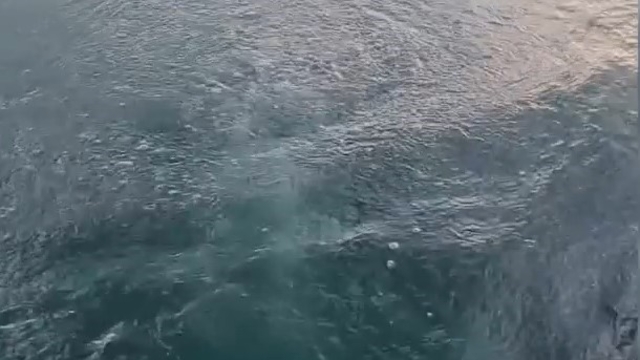 Sapanca Gölü'ndeki kabarcıklar endişeye yol açtı; uzmanı nedenini açıkladı