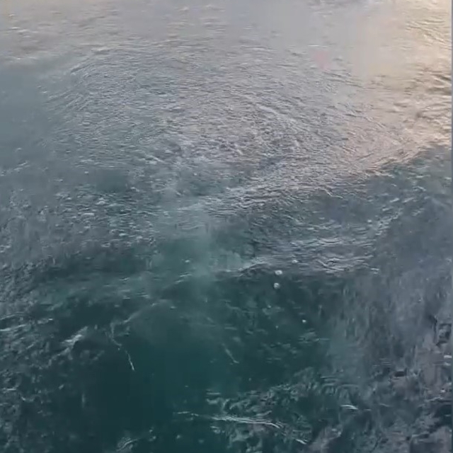 Sapanca Gölü'ndeki kabarcıklar endişeye yol açtı; uzmanı nedenini açıkladı