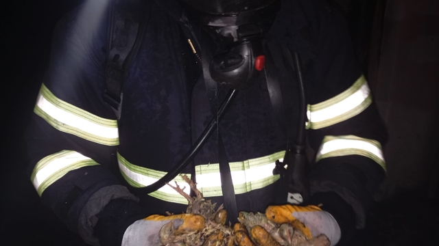 Balıkesir'de tavuk çiftliğinde çıkan yangında 5 bin civciv öldü