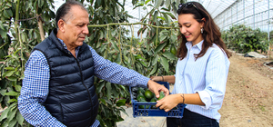Emekli doktor, 4 kuşaktır süren tarım geleneğini kızıyla tropikal meyve ser...