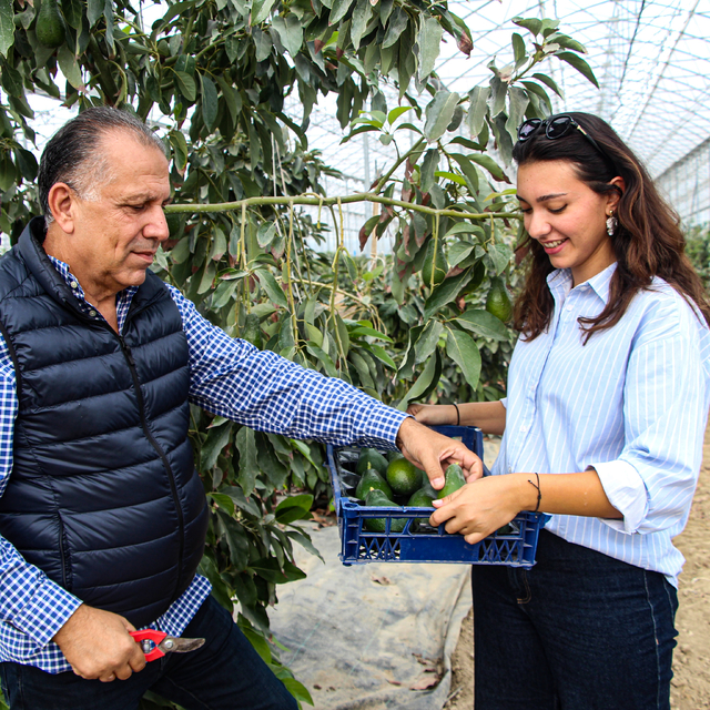 Emekli doktor, 4 kuşaktır süren tarım geleneğini kızıyla tropikal meyve ser...