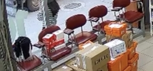 Hava almak için dışarı çıkan eczacının üzerine atladı: "Çıplak sandım"
Burs...