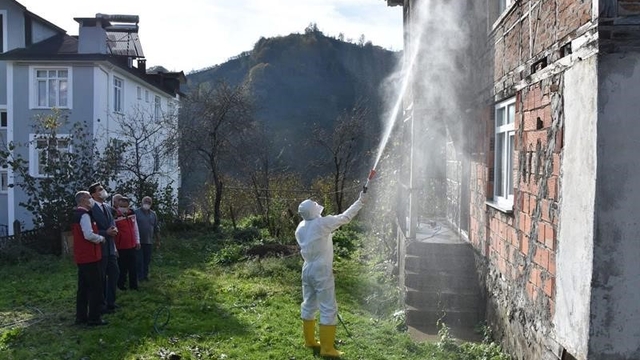 Ordu'da kokarcaya karşı 330 bin kışlak ilaçlanacak