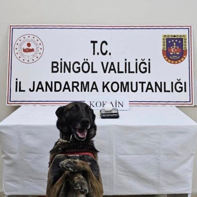 Bingöl'de uyuşturucuyla mücadele