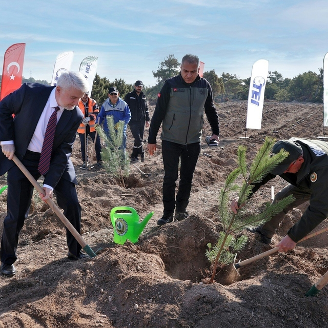 TEI'den 17 bin fidanlık 40. Yıl Hatıra Ormanı
