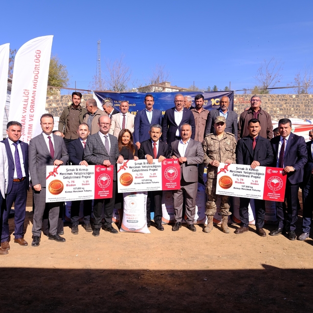 İdil'de 107 ton kırmızı mercimek tohumu dağıtıldı