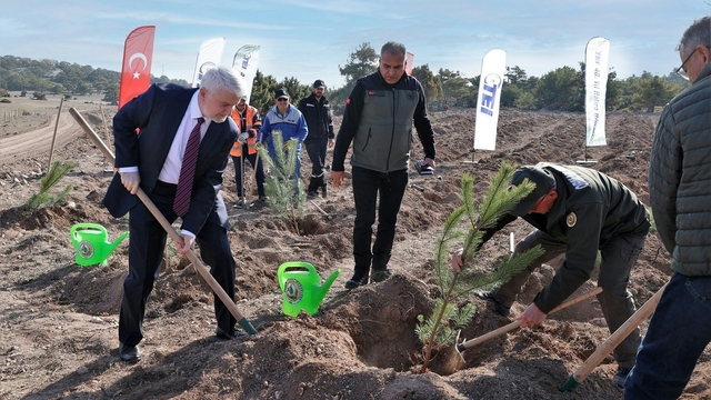 TEI'den 17 bin fidanlık 40. Yıl Hatıra Ormanı