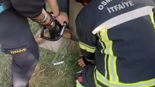 Konteyner ile duvar arasına sıkışan yavru kedi kurtarıldı