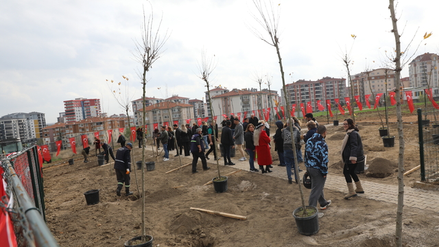 Trafik kazasında hayatını kaybeden gençler için Edirne'de hatıra ormanı oluşturuldu