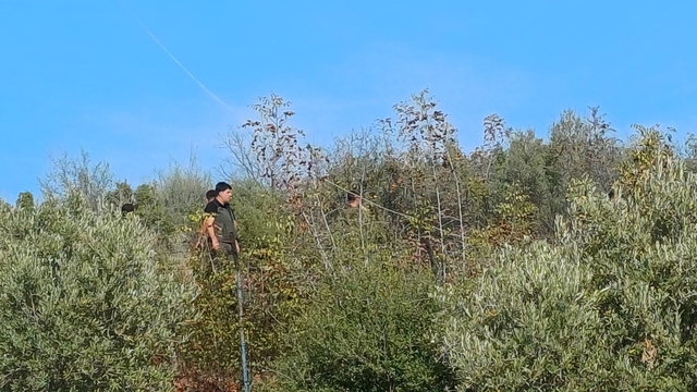 Kumluca'da makilik alanda çıkan yangın söndürüldü