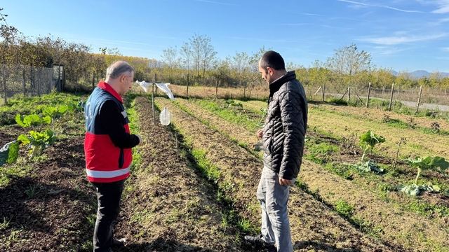 Çarşamba Ovası'nın yeni gözdesi: Salep