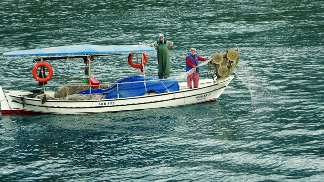 Akdeniz Koruma Derneği'nden 'Dünya Balıkçılık Günü' mesajı