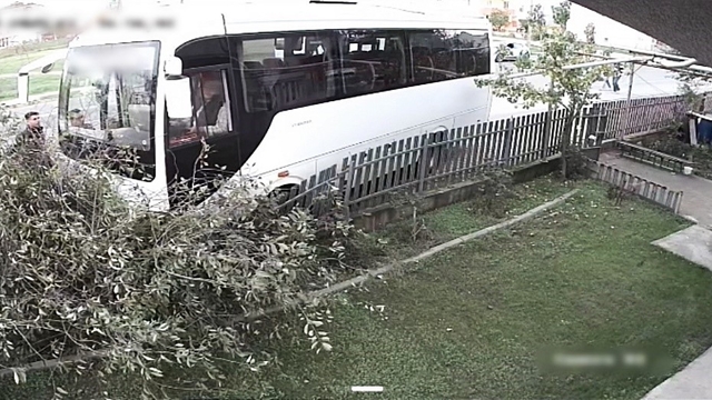 Tekirdağ'da servis minibüsü ağaca çarptı: 1 yaralı