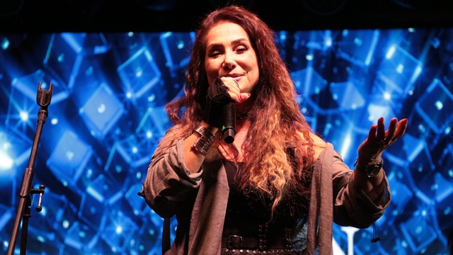 Cizre'de Rojin konser verdi