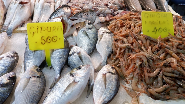 Foça Balık Hali'nde kış sezonu:"Sardalya ve uskumru zamanı"