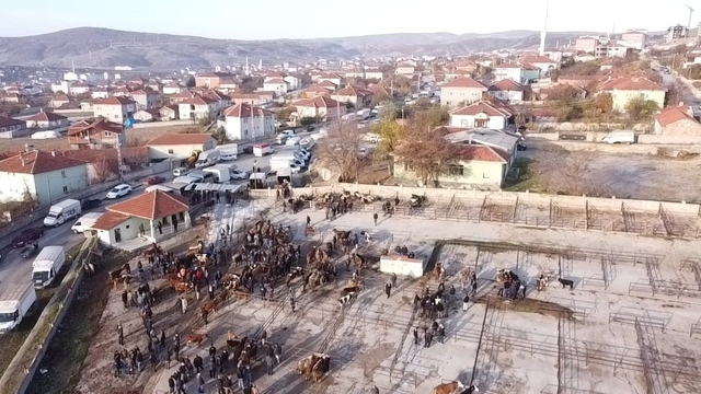Yozgat'ta 2 aydır kapalı olan hayvan pazarı açıldı