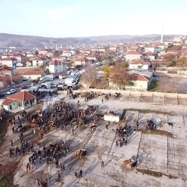 Yozgat'ta 2 aydır kapalı olan hayvan pazarı açıldı