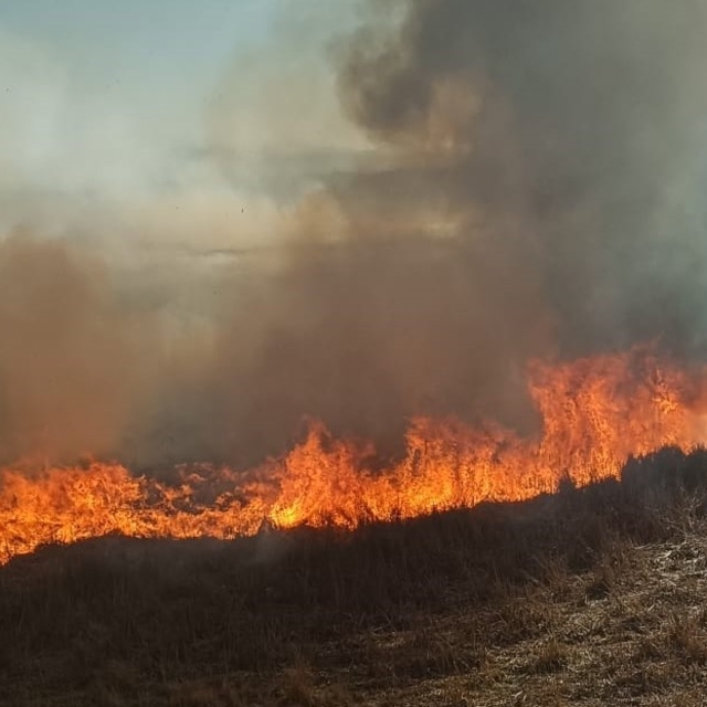 Beyşehir'de sazlıklar alev alev yandı