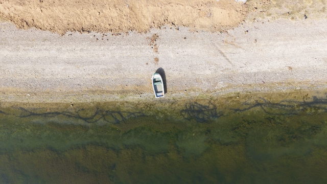 Kuraklık riski büyüyor, çiftçiden uyarı: "Suyu dikkatli kullanmazsak ekmeğimizi kaybederiz"
