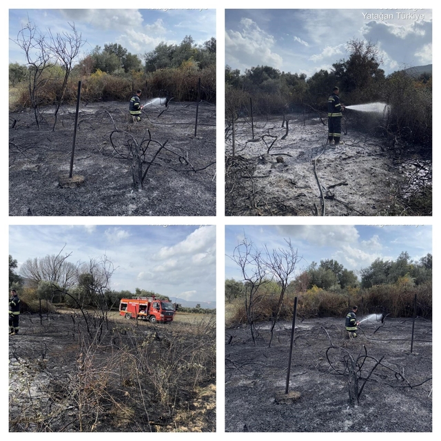 Muğla'da üzüm bağları alevlere teslim oldu