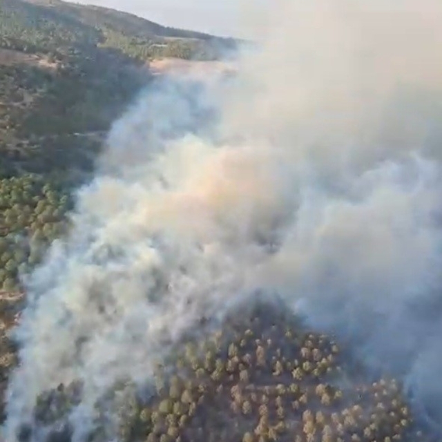 Ziraat alanında başlayan yangın ormana sıçradı