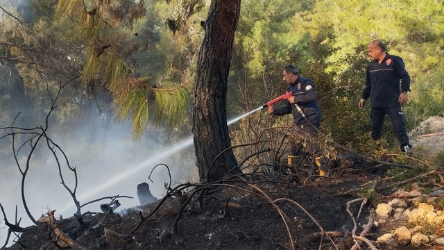 Sarıçam ilçesinde çıkan orman yangını söndürüldü