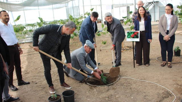 Kahve sadece adıyla değil üretimiyle de Türk olacak
Kumluca'da deneme amaçlı kahve fidanı dikildi