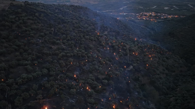 Bozdoğan yangını büyük ölçüde kontrol altına alındı