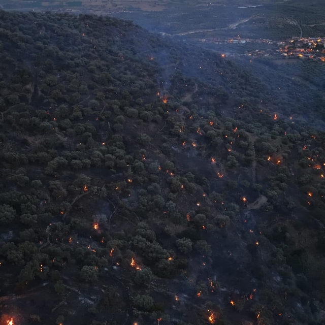 Bozdoğan yangını büyük ölçüde kontrol altına alındı