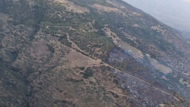 Aydın'da orman yangını (2)