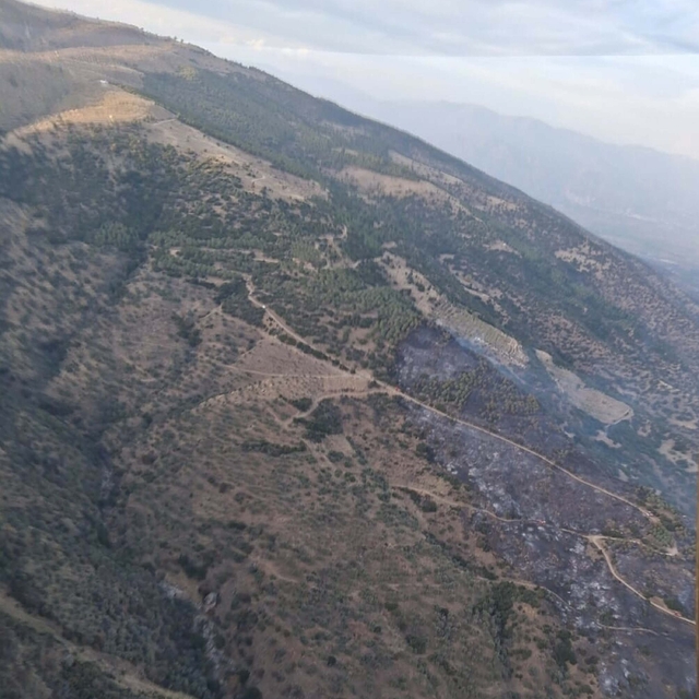 Aydın'da orman yangını (2)