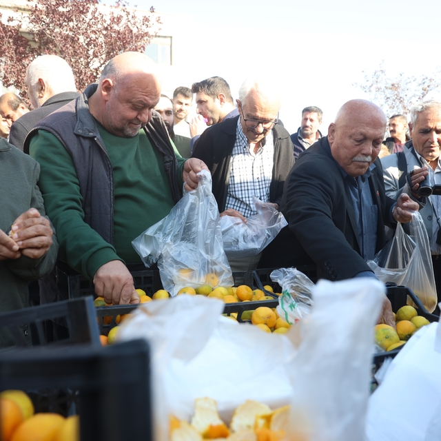 Mandalinanın fiyatı 2 TL'ye düşünce tonlarca ürünü vatandaşlara ücretsiz da...
