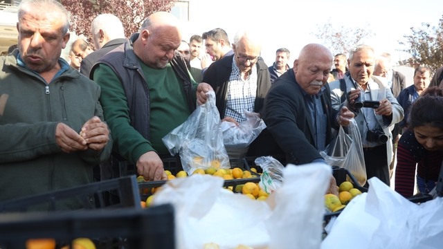 Mandalinanın fiyatı 2 TL'ye düşünce tonlarca ürünü vatandaşlara ücretsiz dağıttılar