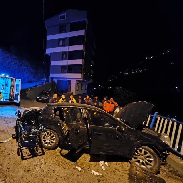 Otomobil, alt yola düştü; sürücü öldü, kardeşi yaralı