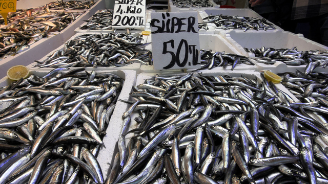 Trabzon'da hamside fiyat düştü, ilgi arttı