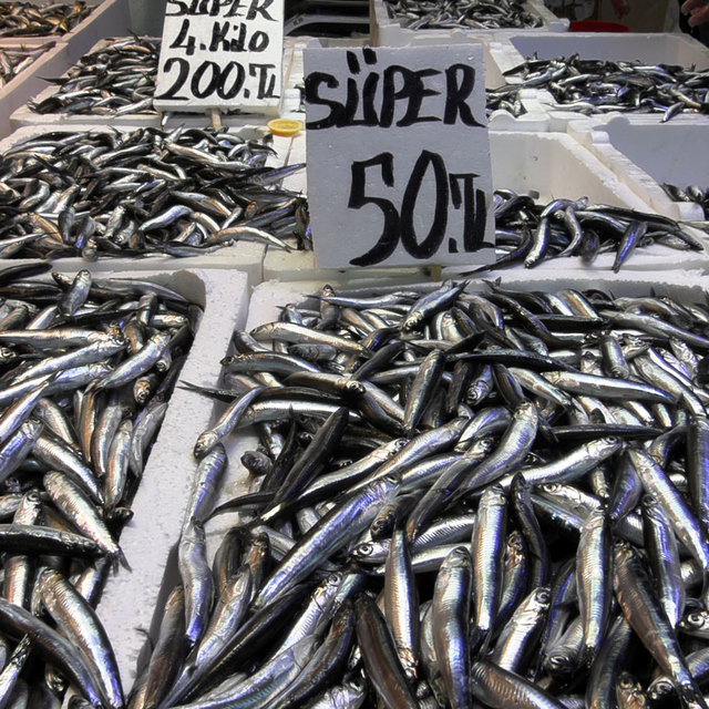 Trabzon'da hamside fiyat düştü, ilgi arttı