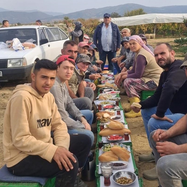 Üzüm alıcısından işçilere ziyafet