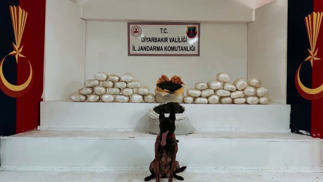Diyarbakır'da 470 kilo skunk ve 85 kilo esrar ele geçirildi