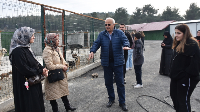 Hayvanseverler Boyabat Sokak Hayvanları Doğal Yaşam Alanı'nı ziyaret etti